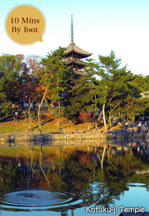 Kofuku-ji Temple(10 Mins By foot)