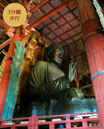 東大寺(5分鐘步行)